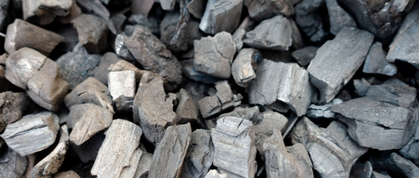 Biomass energy solutions — Edusgrace International