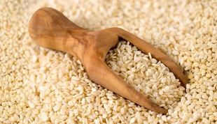 Agricultural export operations — Edusgrace International