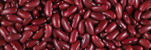 Fresh produce and commodities — Edusgrace International