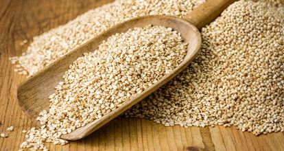 Sesame Seeds — natural and hulled export quality from Edusgrace International